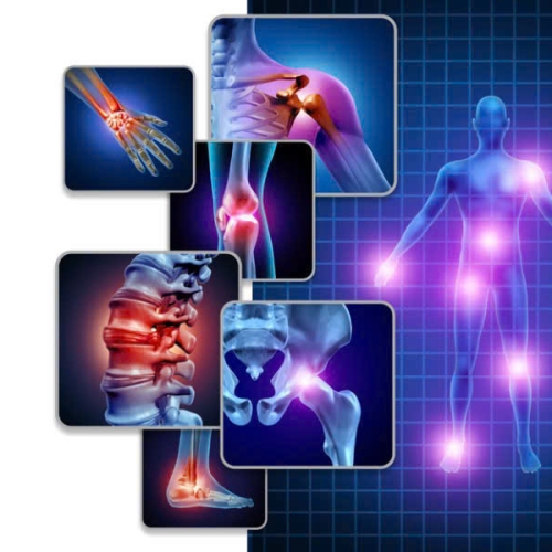 Massage Bấm Huyệt + Giải Cơ Trị Liệu Chuyên Sâu Từng Vùng