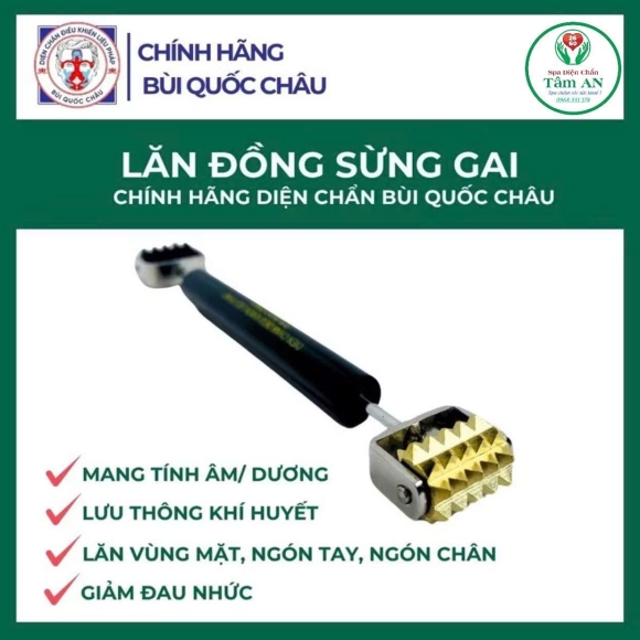 Lăn đồng sừng gai
