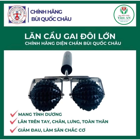 Lăn cầu gai đôi lớn